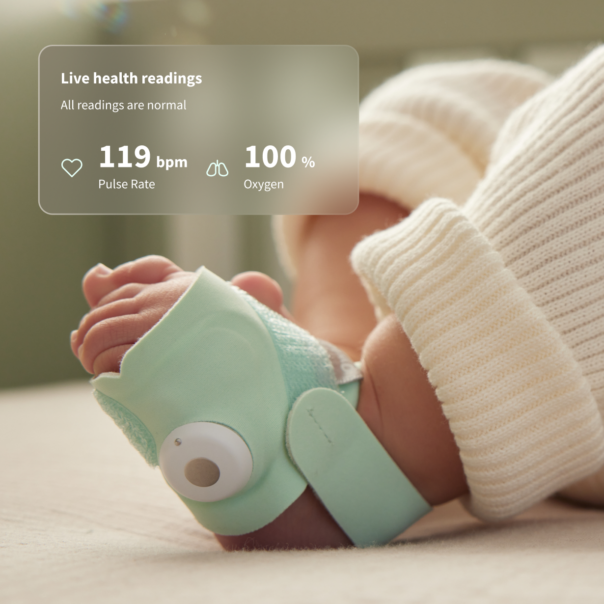 Owlet — Brand Evolution