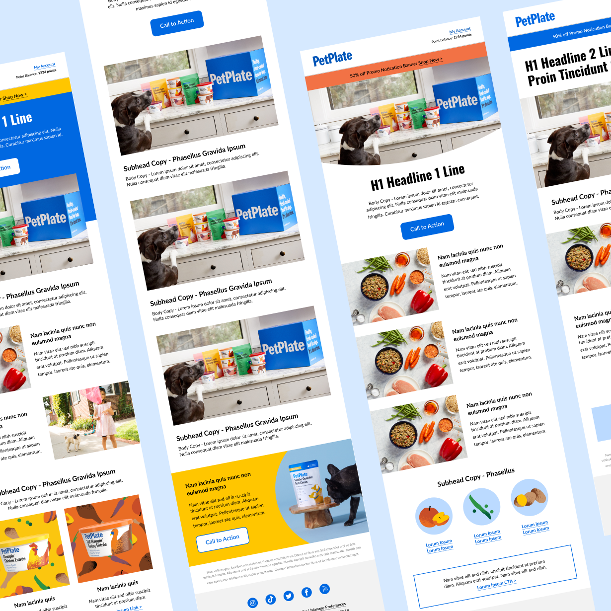PetPlate — Modular Email System