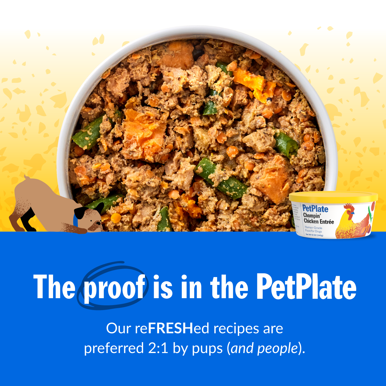 PetPlate — Preferred 2:1 Campaign