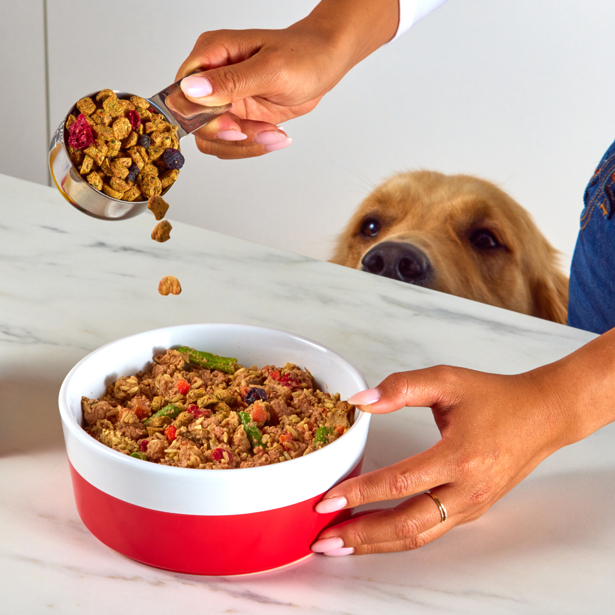PetPlate — Lifestyle + Studio Photography
